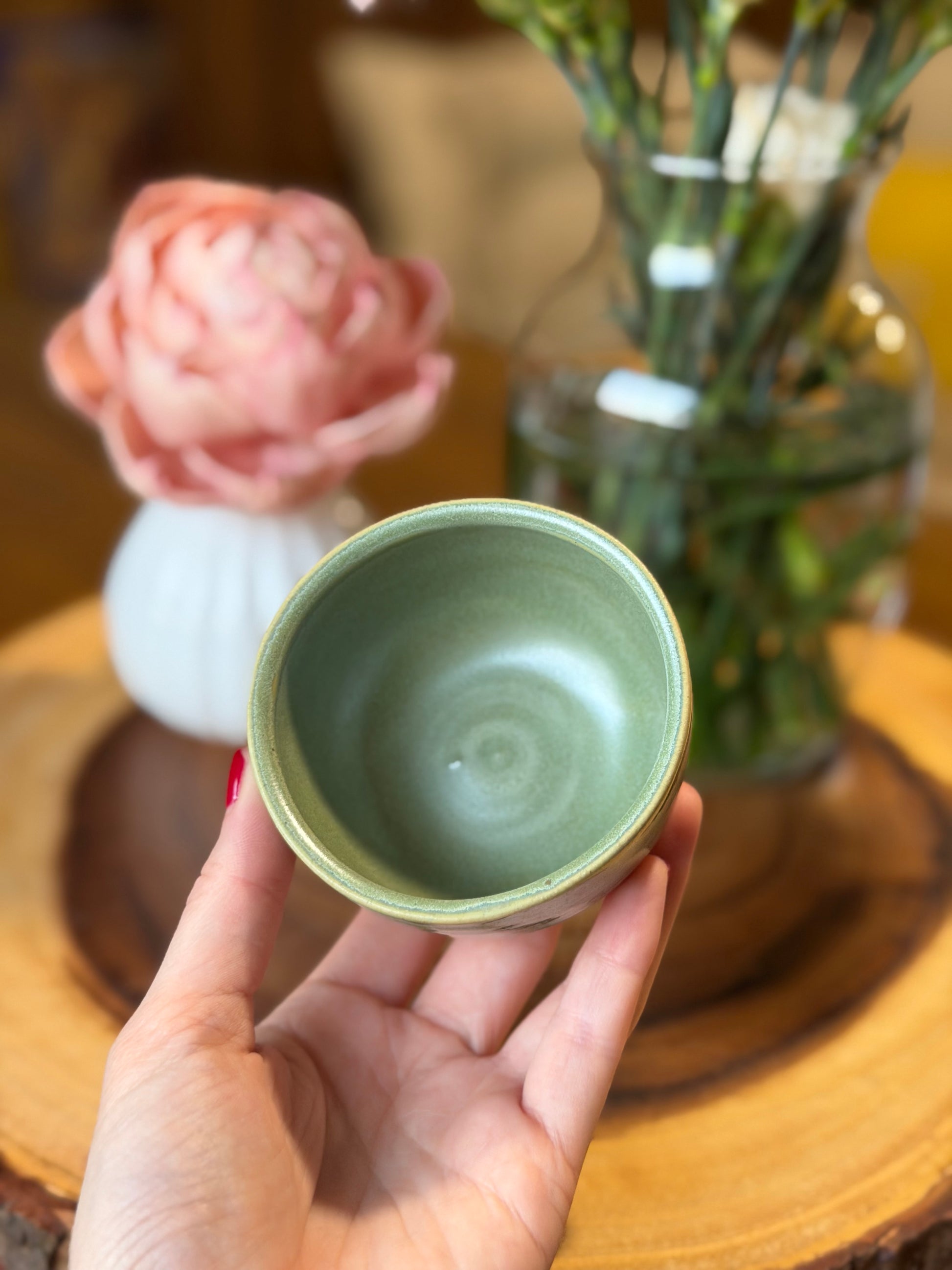 Green Multi-Use Dish