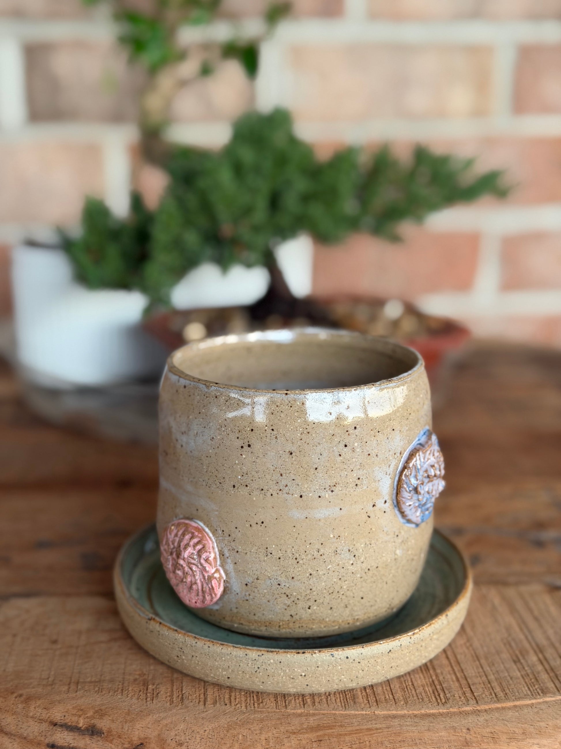 Teal Shell Planter
