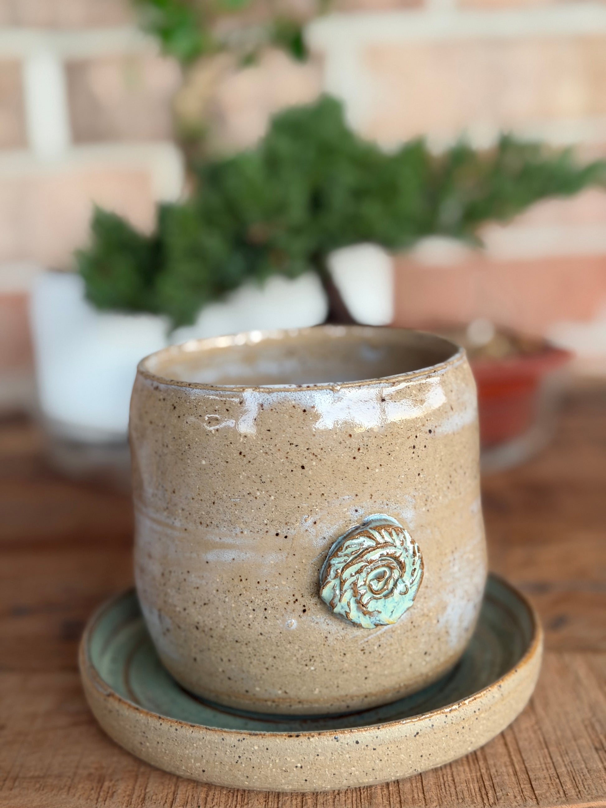 Teal Shell Planter