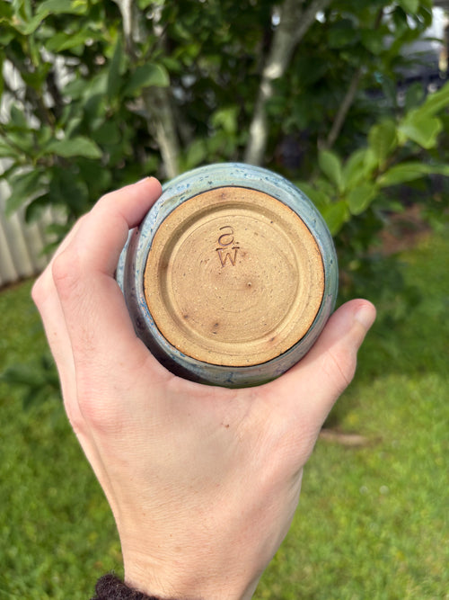 Blue Storage Dish