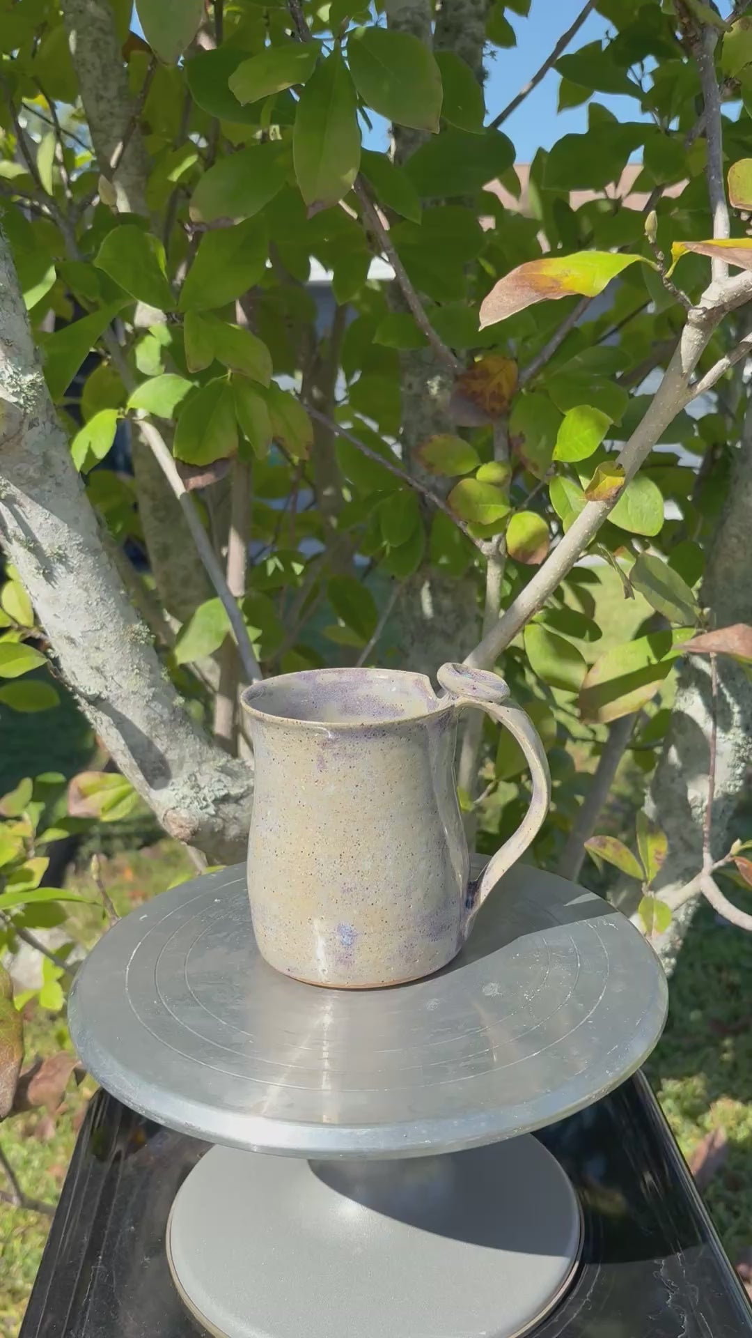 Death to the World Mug (purple)